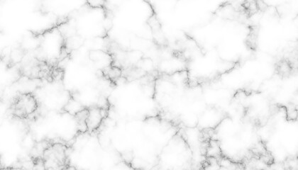 White Marble Stone Texture with Delicate Gray Veins