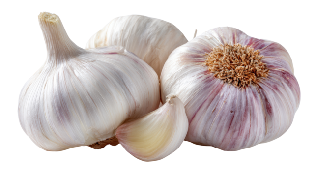 Fresh garlic cloves and bulbs on a white isolated background.