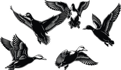 Flying ducks illustration, black and white artwork, bird motion, graceful flight, duck wings spread, wildlife drawing, feather detail, nature sketch