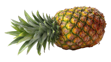 Fresh pineapple on white isolate background.