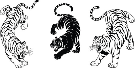 Tiger tattoo design, roaring tiger illustration, black and white tiger art, aggressive tiger drawing, fierce wild cat artwork, traditional Japanese tiger style, vector graphic