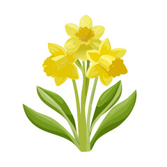 Fototapeta premium Yellow Daffodil Flowers with Green Leaves on Black Background, Spring Blossom Illustration