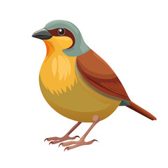 Cartoon bird with brown, yellow, and grey feathers standing against a black background.