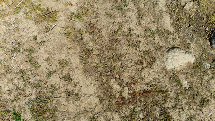 Texture ground, seamless texture ground