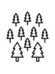 Grid of Twelve Simple Cartoon Evergreen Trees with Transparent Background nature forest