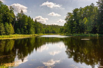 Obraz premium Zbiornik wodny na Świnobródce w Puszczy Knyszyńskiej, Podlasie, Polska