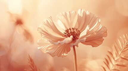 Ethereal macro of extraordinary flower petals unfurling in warm peach and blush hues, fading to mauve edges, fine botanical textures, and soft diffused lighting in a dreamy, tranquil composition.