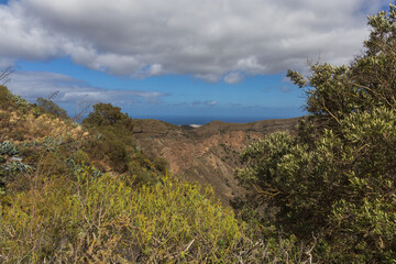 Fototapeta premium Caldera de Bandama Gran Canaria Spain - nature reserve after volcanic eruption