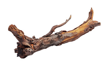 Fototapeta premium Unique twisted wood branch showcasing intricate textures and natural beauty in a clean background
