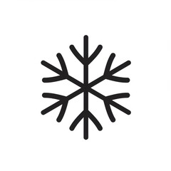 Black And White Simple Snowflake Design