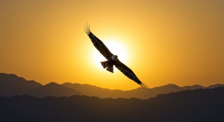 Fototapeta premium Eagle soars against a bright golden sunset over mountain silhouettes.
