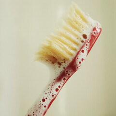 tooth brush on white background