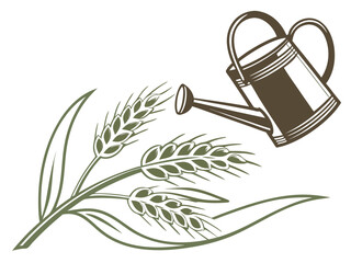 A stylized illustration of watering wheat crops. This vector graphic depicts a watering can pouring water onto stylized wheat fields.