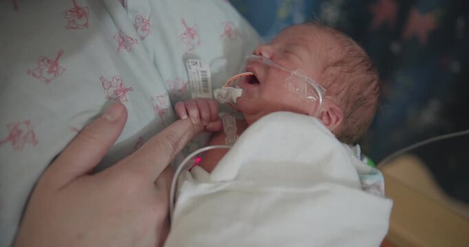 Newborn Preemie Being Held for the First Time NICU