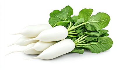 Fresh White Radishes with Lush Green Tops