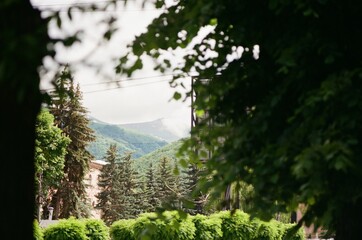 Mountain Peak Seen Through Summer Foliage Vanadzor, Armenia