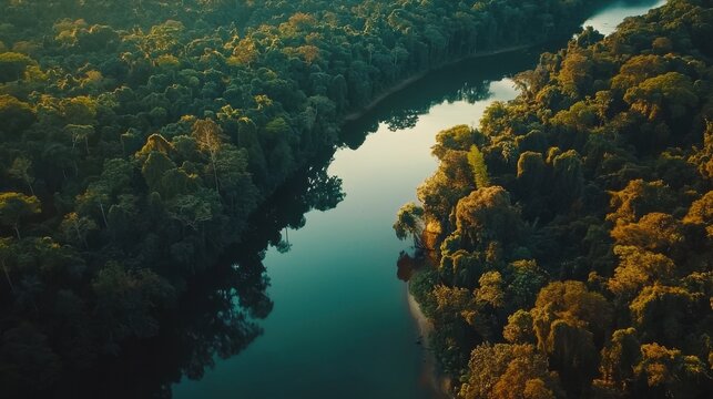 Amazon rainforest aerial view background. River cutting through dense, lush tropical forest. Calm water reflects greenery of surrounding trees and creating serene and peaceful atmosphere