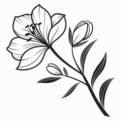 black and white flower