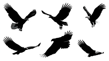 Obraz premium Vector black silhouette of a flying eagle in different poses on a white background