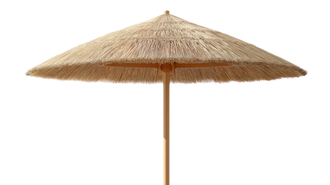 Tropical Oasis: An overhead view captures a serene, solitary, thatched umbrella against a bright daylight backdrop, inviting you to bask in the tranquil atmosphere and soak in the relaxing shades.