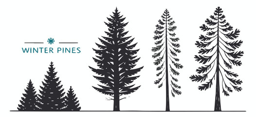 Collection of stylized dark pine trees with textured branches and foliage on a white background