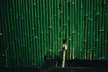 abstract background with green bamboo