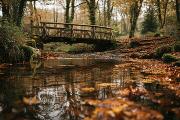 A rustic wooden bridge over a stream in autumn woods with falling leaves.
