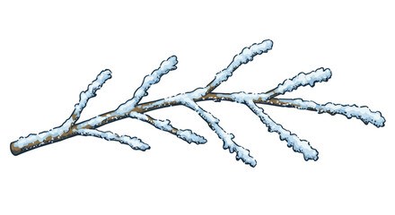 A snowcovered tree branch with multiple offshoots against a white background