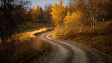 Fototapeta premium A winding dirt road curves through a vibrant autumn forest, surrounded by trees with yellow, orange, and red leaves,