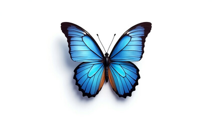 Obraz premium A Stunning Iridescent Blue Butterfly with Delicate Wings Perched on a Leaf