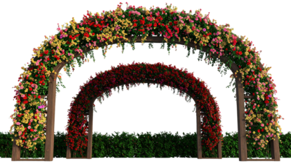 Celebrate Chinese New Year With Colorful Floral Arches Showcasing Vibrant Blooms and Festive Elegance, transparency background isolated on transparent background