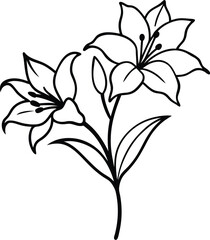 alstroemeria line art illustration