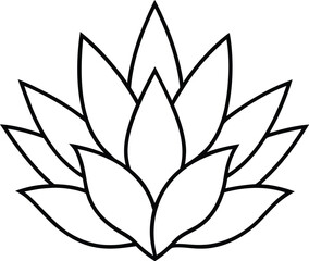 gladiolus vector line art illustration