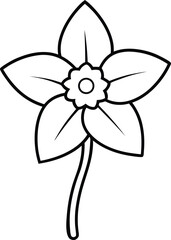 daffodil vector line art illustration