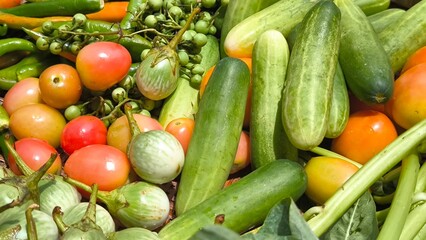 Fresh vegetables for cooking. Vegetables contain dietary fiber that helps cleanse the intestines.