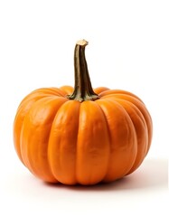 Obraz premium Close-up of orange pumpkin on white background