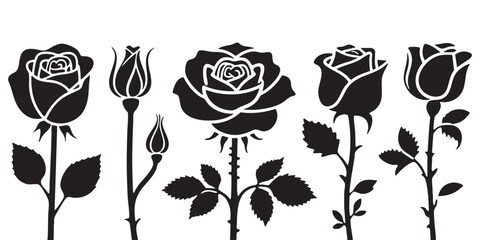 Black and White Rose Collection Buds and Blooms