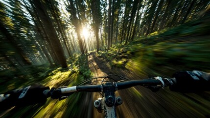 Mountain biker through sunlit forest trail