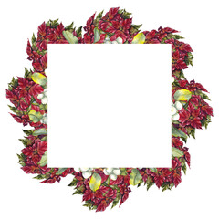 Watercolor illustration red poinsettia flowers with white snowberries and green leaves frame in realistic festive style. for Christmas cards, packaging, winter decor and seasonal textile design.