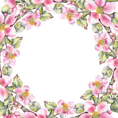 Watercolor floral frame with pink apple blossoms and green leaves in botanical style. for invitations, greeting cards, wedding stationery, cosmetic branding, seasonal sales and eco product packaging.