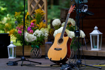 guitar and flowers © talavietis