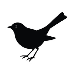 Black Robin silhouette  vector illustration
