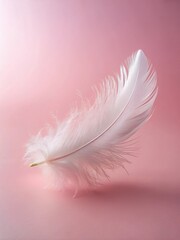 Obraz premium Ethereal softness a delicate white feather gracefully resting on pastel pink Copy space