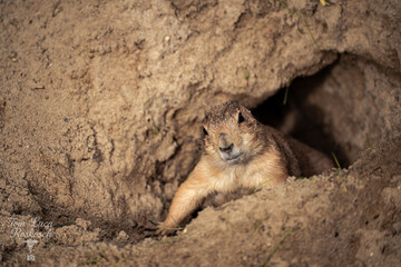 Foto wurde im Hannover-Zoo gemacht.
