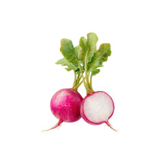 Fresh Red Radishes with Green Tops, One Cut in Half, Isolated on Black