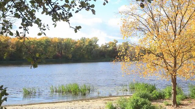 Ukraine. Zhytomyr region. Lake shore. Autumn. 21.09.2024