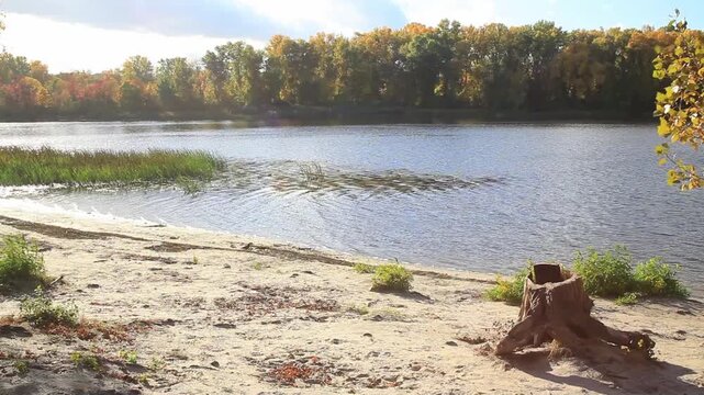 Ukraine. Zhytomyr region. Lake shore. Autumn. 21.09.2024