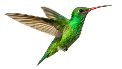 Fototapeta premium Vibrant green hummingbird with red beak soaring, thread embroidery on white background, flying posture Stock photo