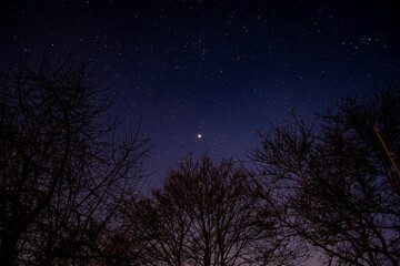 Fototapeta premium Aufgenommen in Freier Natur in Helmstedt