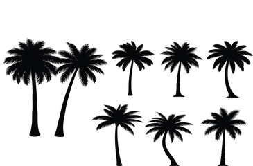 Print"Set of Black Silhouettes of Palm Trees, Tropical Nature, Exotic Plants, Summer Background, Vacation, Sunset, Beach, Island Life"